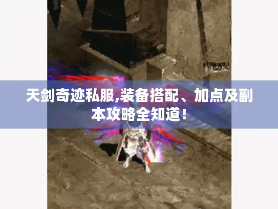 天剑奇迹私服,装备搭配、加点及副本攻略全知道! 天剑奇迹私服,装备搭配、加点及副本攻略全知道!