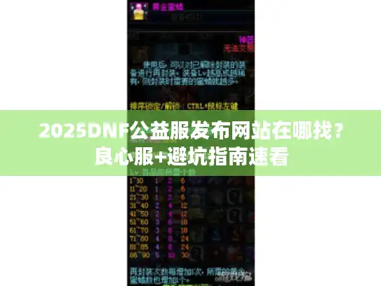 2025DNF公益服发布网站在哪找?良心服+避坑指南速看 2025DNF公益服发布网站在哪找?良心服+避坑指南速看