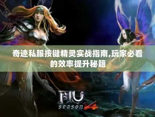 奇迹私服按键精灵实战指南,玩家必看的效率提升秘籍