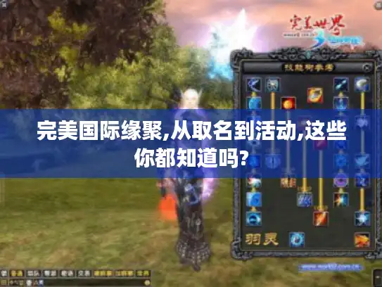 完美国际缘聚,从取名到活动,这些你都知道吗?