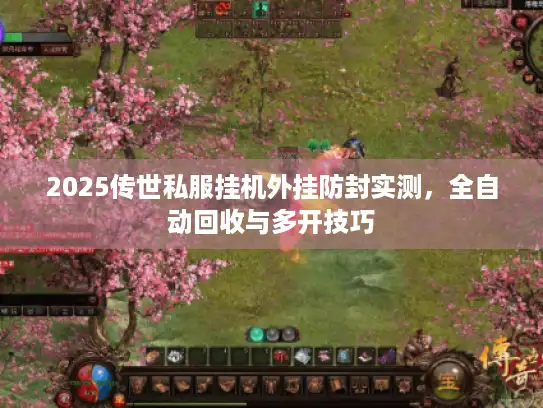 2025传世私服挂机外挂防封实测，全自动回收与多开技巧