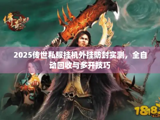 2025传世私服挂机外挂防封实测，全自动回收与多开技巧