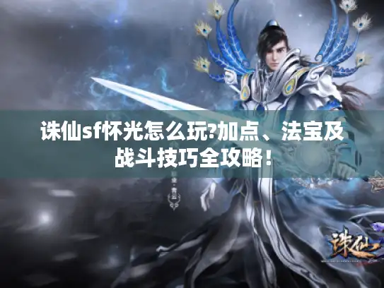 诛仙sf怀光怎么玩?加点、法宝及战斗技巧全攻略！