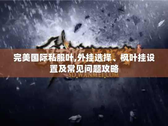 完美国际私服叶,外挂选择、枫叶挂设置及常见问题攻略 完美国际私服叶,外挂选择、枫叶挂设置及常见问题攻略