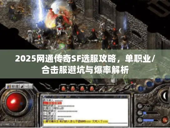 2025网通传奇SF选服攻略，单职业/合击服避坑与爆率解析