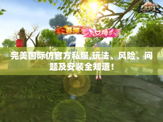 完美国际仿官方私服,玩法、风险、问题及安装全知道！