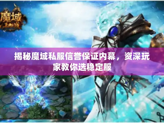 揭秘魔域私服信誉保证内幕,资深玩家教你选稳定服 揭秘魔域私服信誉保证内幕,资深玩家教你选稳定服