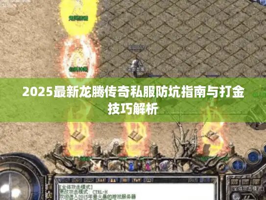 2025最新龙腾传奇私服防坑指南与打金技巧解析