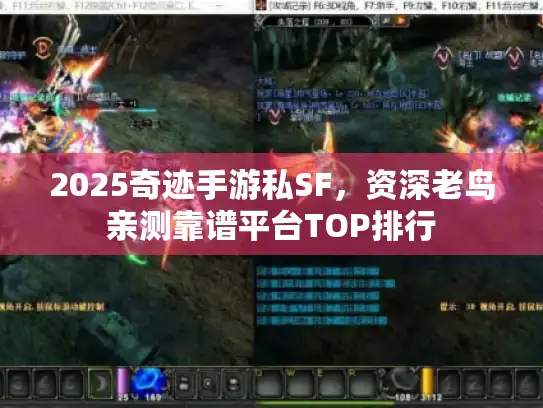 2025奇迹手游私SF,资深老鸟亲测靠谱平台TOP排行 2025奇迹手游私SF,资深老鸟亲测靠谱平台TOP排行