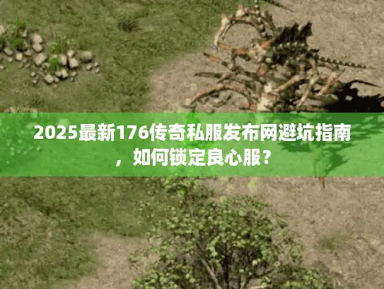 2025最新176传奇私服发布网避坑指南，如何锁定良心服？