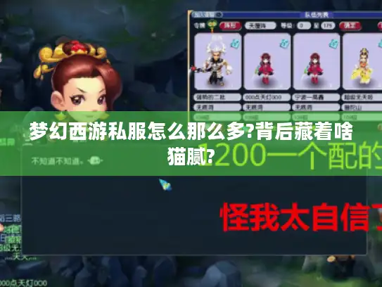 梦幻西游私服怎么那么多?背后藏着啥猫腻?