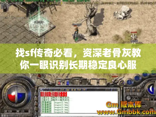 找sf传奇必看，资深老骨灰教你一眼识别长期稳定良心服