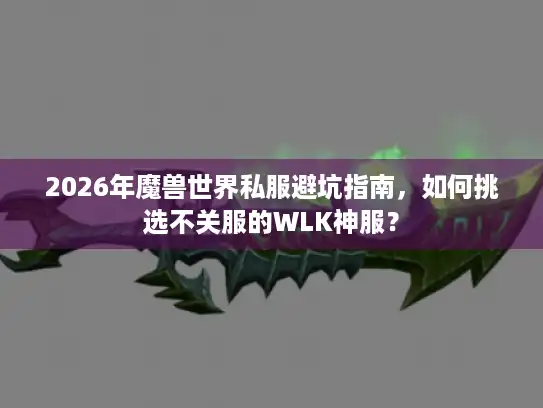 2026年魔兽世界私服避坑指南，如何挑选不关服的WLK神服？