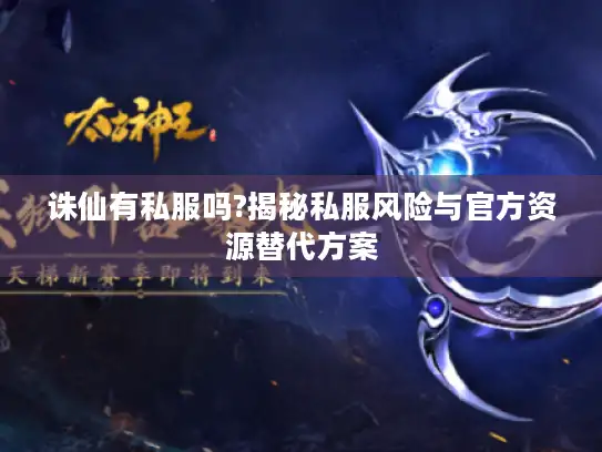 诛仙有私服吗?揭秘私服风险与官方资源替代方案