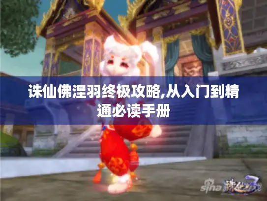 诛仙佛涅羽终极攻略,从入门到精通必读手册