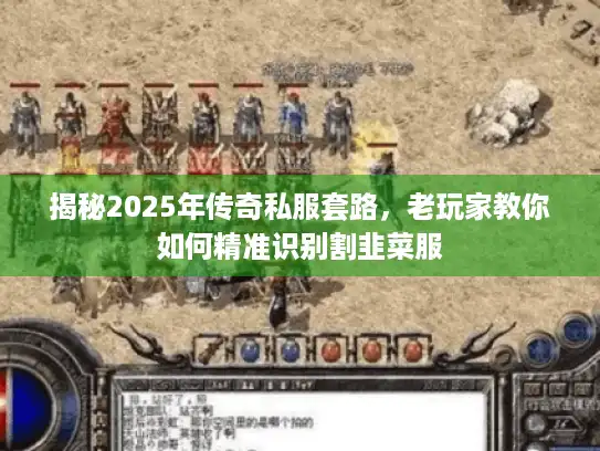 揭秘2025年传奇私服套路，老玩家教你如何精准识别割韭菜服