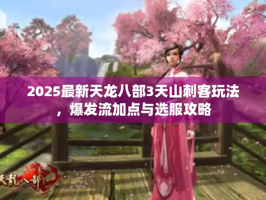 2025最新天龙八部3天山刺客玩法，爆发流加点与选服攻略