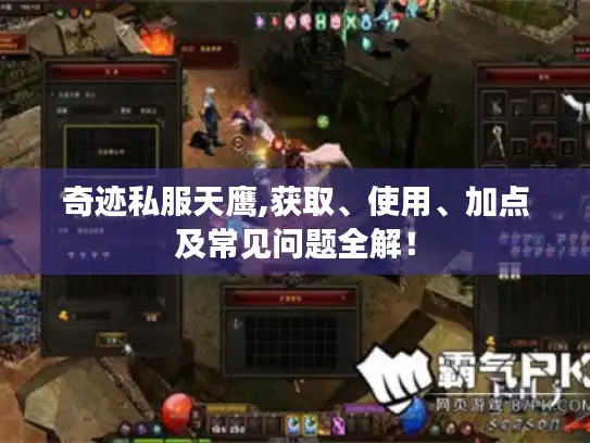 奇迹私服天鹰,获取、使用、加点及常见问题全解！