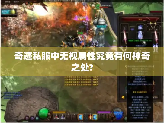 奇迹私服中无视属性究竟有何神奇之处?