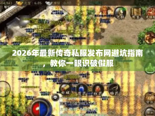 2026年最新传奇私服发布网避坑指南，教你一眼识破假服