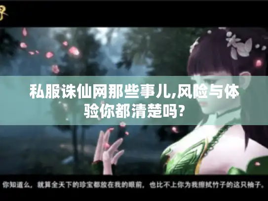 私服诛仙网那些事儿,风险与体验你都清楚吗?