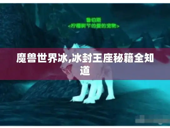 魔兽世界冰,冰封王座秘籍全知道