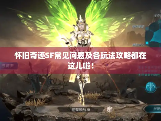怀旧奇迹SF常见问题及各玩法攻略都在这儿啦！