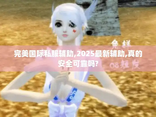 完美国际私服辅助,2025最新辅助,真的安全可靠吗? 完美国际私服辅助,2025最新辅助,真的安全可靠吗?