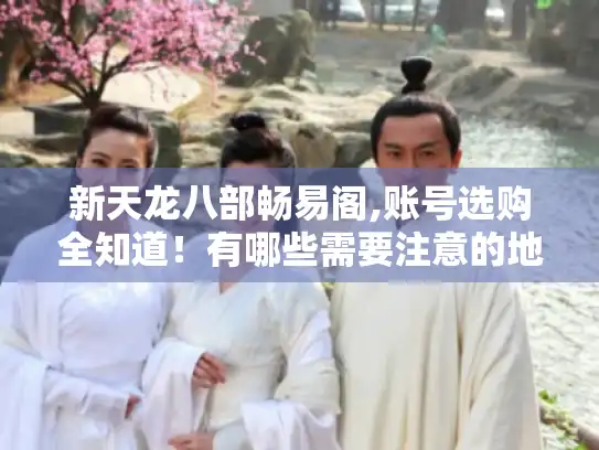 新天龙八部畅易阁,账号选购全知道!有哪些需要注意的地方? 新天龙八部畅易阁,账号选购全知道!有哪些需要注意的地方?