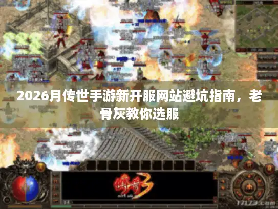 2026月传世手游新开服网站避坑指南，老骨灰教你选服