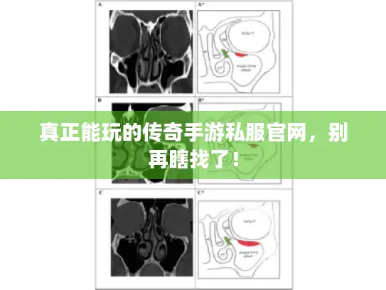 真正能玩的传奇手游私服官网，别再瞎找了！