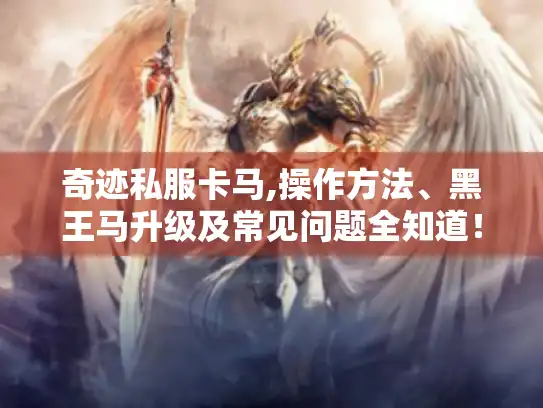 奇迹私服卡马,操作方法、黑王马升级及常见问题全知道！