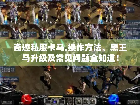 奇迹私服卡马,操作方法、黑王马升级及常见问题全知道！