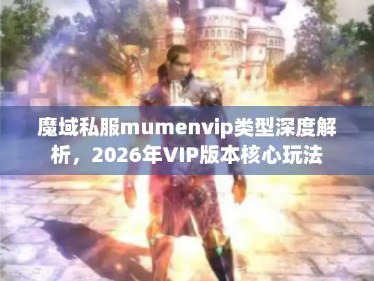 魔域私服mumenvip类型深度解析，2026年VIP版本核心玩法