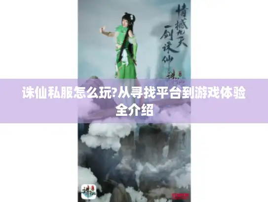 诛仙私服怎么玩?从寻找平台到游戏体验全介绍