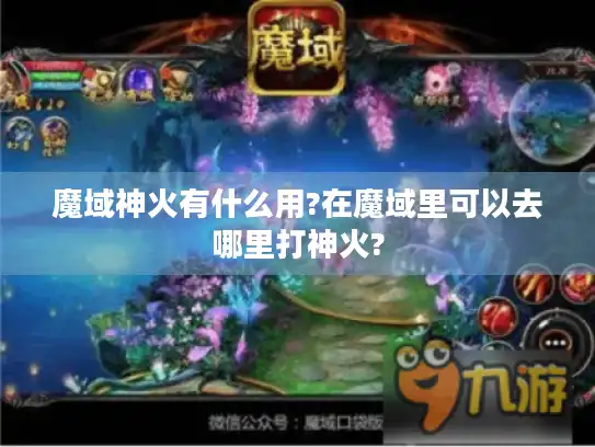 魔域神火有什么用?在魔域里可以去哪里打神火?