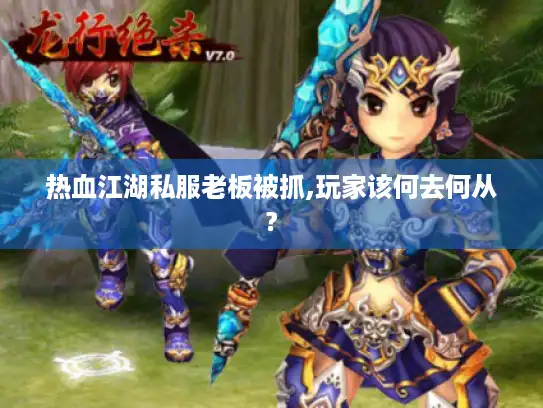 热血江湖私服老板被抓,玩家该何去何从? 热血江湖私服老板被抓,玩家该何去何从?