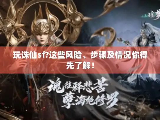 玩诛仙sf?这些风险、步骤及情况你得先了解！