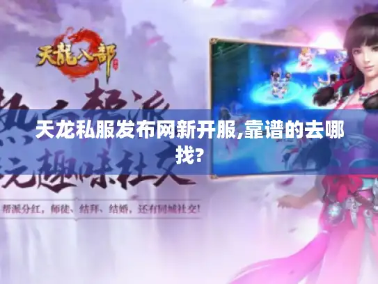 天龙私服发布网新开服,靠谱的去哪找?