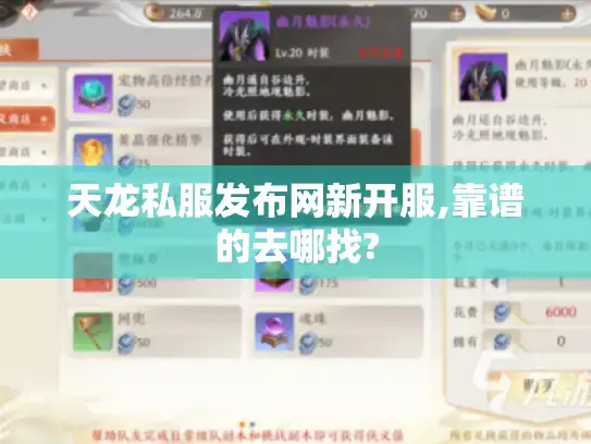 天龙私服发布网新开服,靠谱的去哪找?