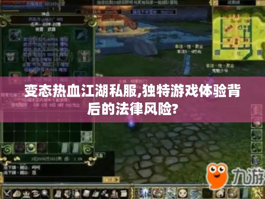 变态热血江湖私服,独特游戏体验背后的法律风险?