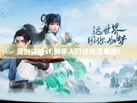 灵剑诛仙sf,新手入门该知道哪些?