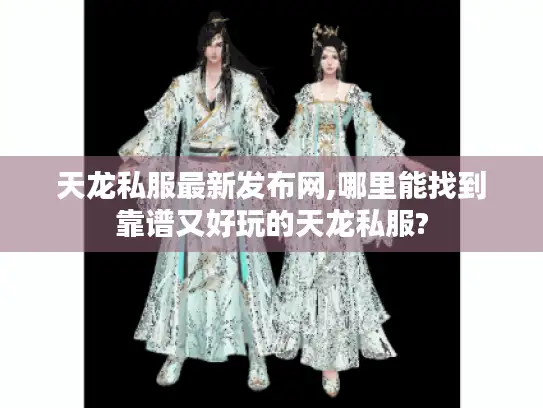 天龙私服最新发布网,哪里能找到靠谱又好玩的天龙私服?