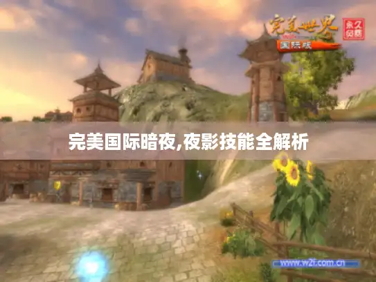 完美国际暗夜,夜影技能全解析
