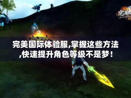 完美国际体验服,掌握这些方法,快速提升角色等级不是梦！
