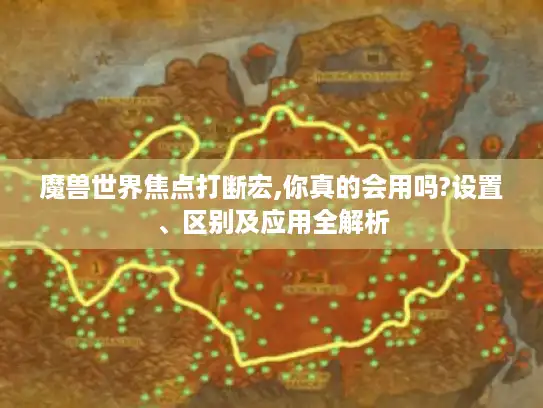 魔兽世界焦点打断宏,你真的会用吗?设置、区别及应用全解析