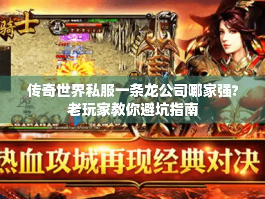传奇世界私服一条龙公司哪家强?老玩家教你避坑指南