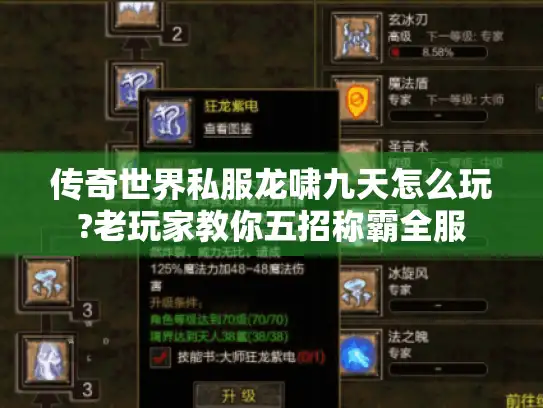 传奇世界私服龙啸九天怎么玩?老玩家教你五招称霸全服