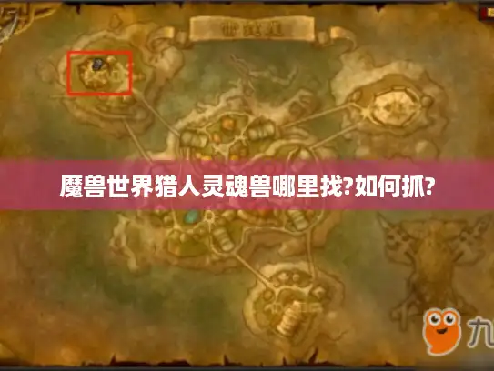 魔兽世界猎人灵魂兽哪里找?如何抓?