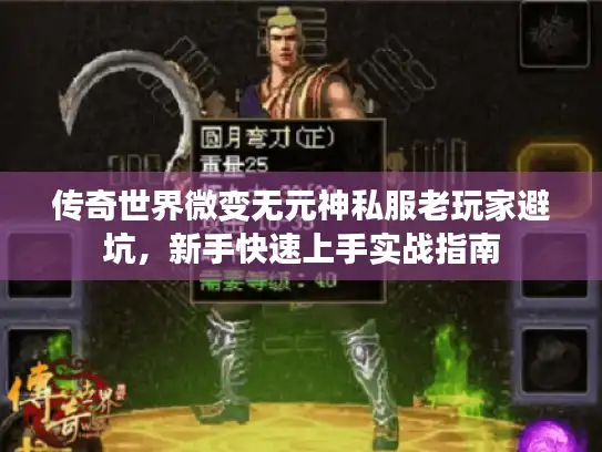 传奇世界微变无元神私服老玩家避坑，新手快速上手实战指南